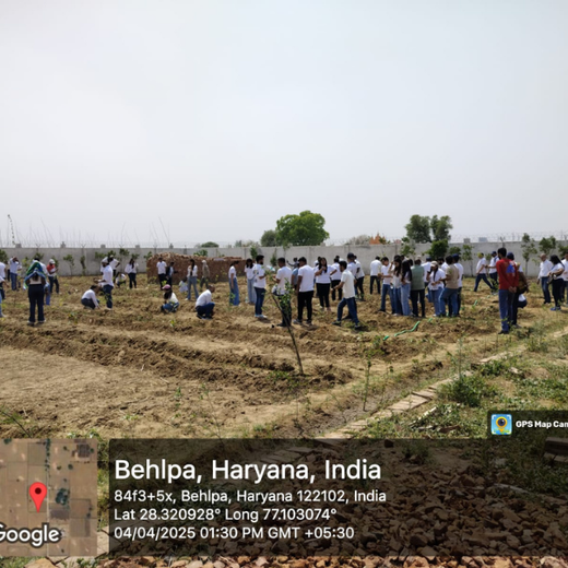 Growing Green, Empowering Farmers: Fareportal’s Agroforest CSR Drive – 6 months