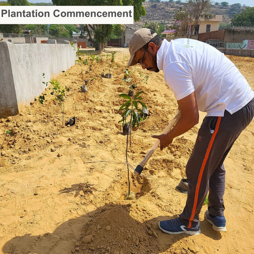 Growing Green, Empowering Farmers: Fareportal’s Agroforest CSR Drive – 6 months