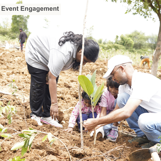 Delivering Sustainability: KWE's Eco-Conscious CSR Journey – 6 months