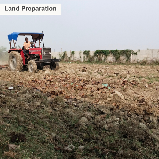 Nurture Florest - An Initiative by Mankind Pharma – Planting