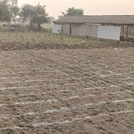 Nurture Florest - An Initiative by Mankind Pharma – Planting