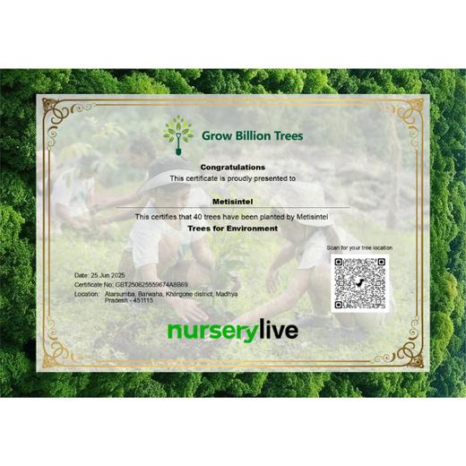 Planting in Memory: Metis Intellisystems Pvt. Ltd.'s Agroforest of Remembrance – 6 months