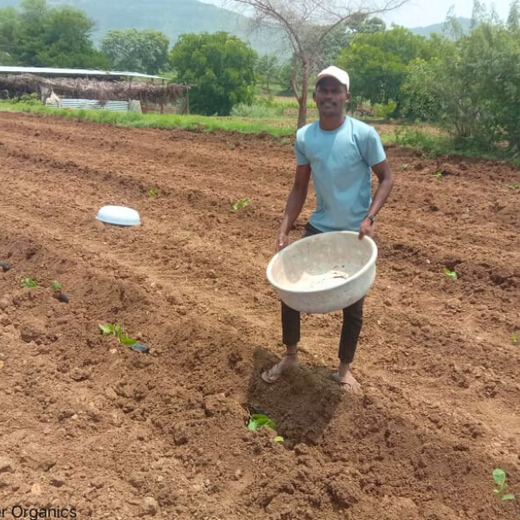 Growing Gratitude: Meyer Organics’ Green Gift for Doctors – Planting
