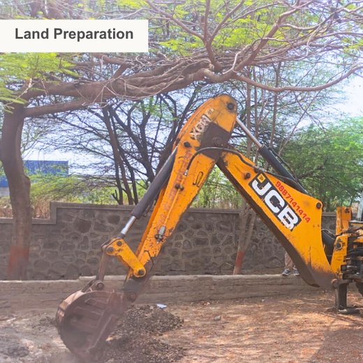 Smart Tech, Greener Earth: Myridius Takes the Green Lead – Planting