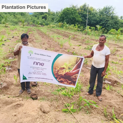 Engineering a Greener Future: NNE’s Agroforest Approach – Planting