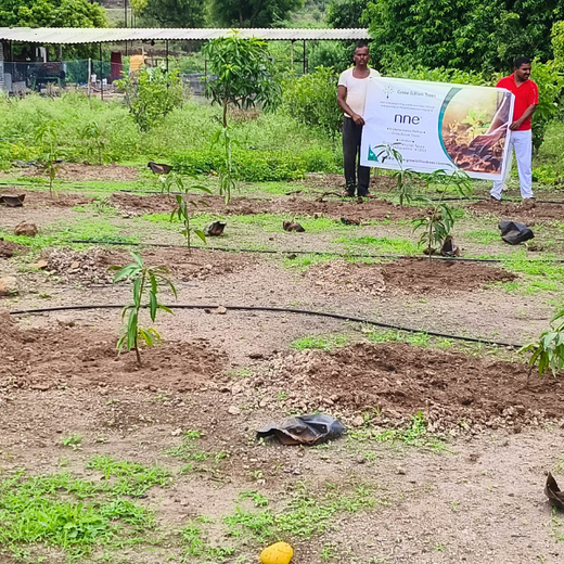 Engineering a Greener Future: NNE’s Agroforest Approach – Planting