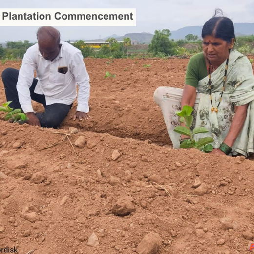 NOVO GBS (Global Business Service): Greening Lives, Growing Futures – Planting
