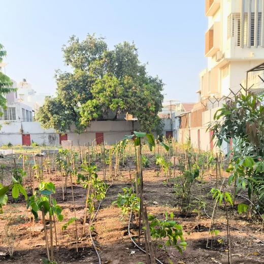 Advancing Sustainability Through OneAdvanced’s CSR Initiative – 6 months