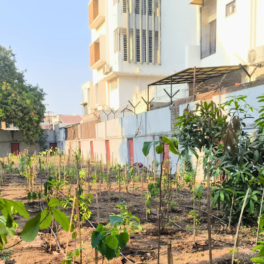 Advancing Sustainability Through OneAdvanced’s CSR Initiative – 6 months