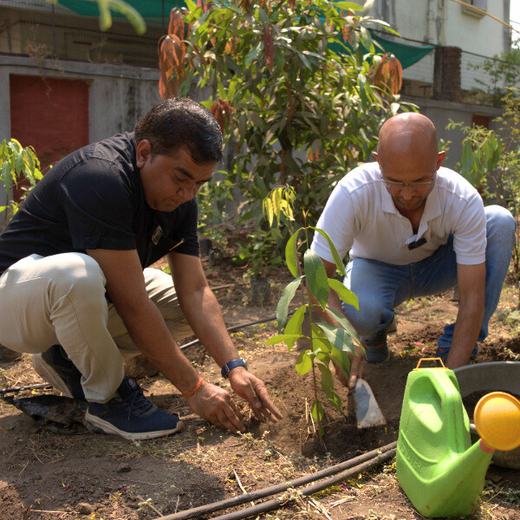Advancing Sustainability Through OneAdvanced’s CSR Initiative – Planting