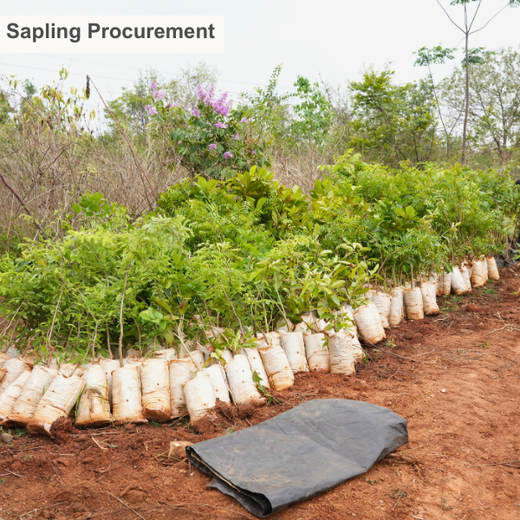 Growing Sustainability: OneAdvanced’s Green CSR Initiative – Planting