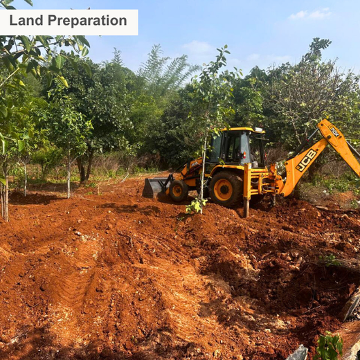 Growing Sustainability: OneAdvanced’s Green CSR Initiative – Planting