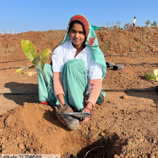 Empowering Village: The Poshan Vatika Initiative by Grow Billion Trees – Planting