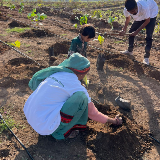 Empowering Village: The Poshan Vatika Initiative by Grow Billion Trees – Planting
