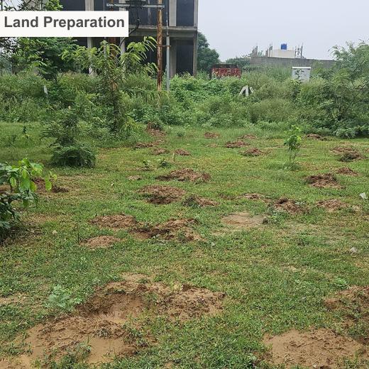 Premier Tech’s Green Footprint in Greater Noida – Planting