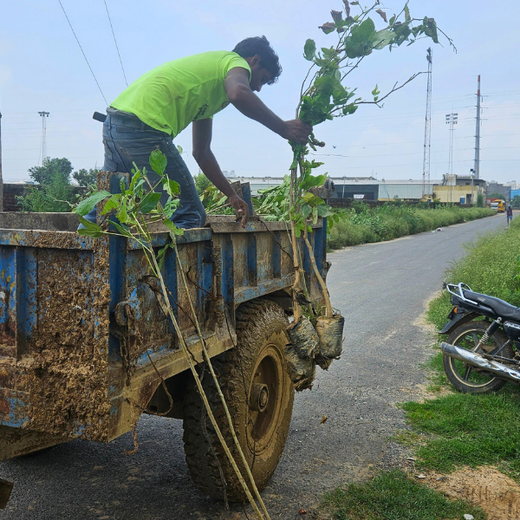 Premier Tech’s Green Footprint in Greater Noida – Planting