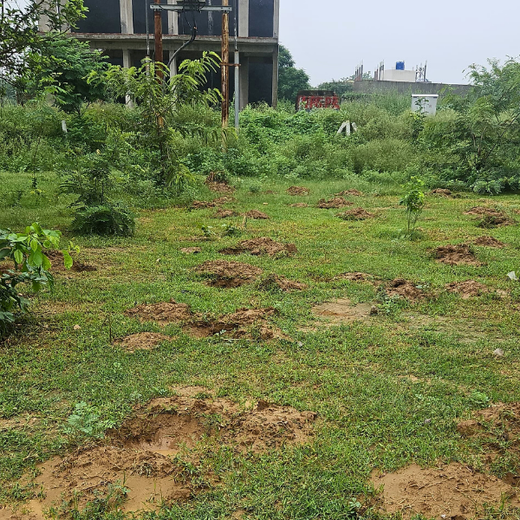 Premier Tech’s Green Footprint in Greater Noida – Planting