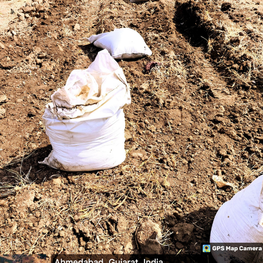 One Machine = One Tree Growing a Greener Tomorrow with Sharp Engineers – Planting