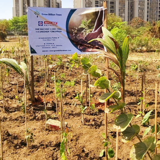 One Machine = One Tree Growing a Greener Tomorrow with Sharp Engineers – 6 months