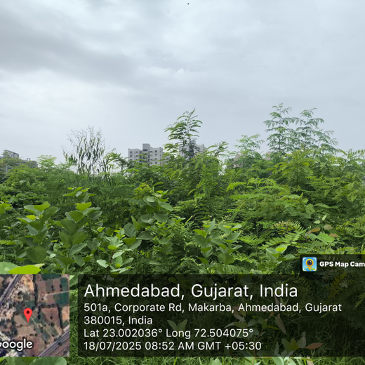 One Machine = One Tree Growing a Greener Tomorrow with Sharp Engineers – 1 year