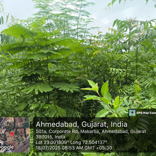 One Machine = One Tree Growing a Greener Tomorrow with Sharp Engineers – 1 year