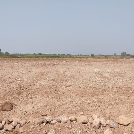 Reforesting with Purpose: We4All’s Tree Plantation for Climate & Livelihood – Planting