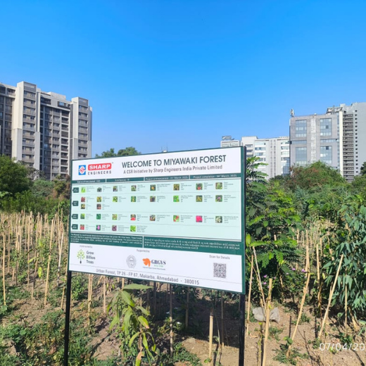 One Machine = One Tree Growing a Greener Tomorrow with Sharp Engineers – 6 months
