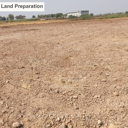 Reforesting with Purpose: We4All’s Tree Plantation for Climate & Livelihood – Planting