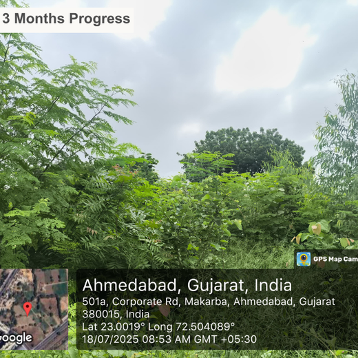One Machine = One Tree Growing a Greener Tomorrow with Sharp Engineers – 1 year