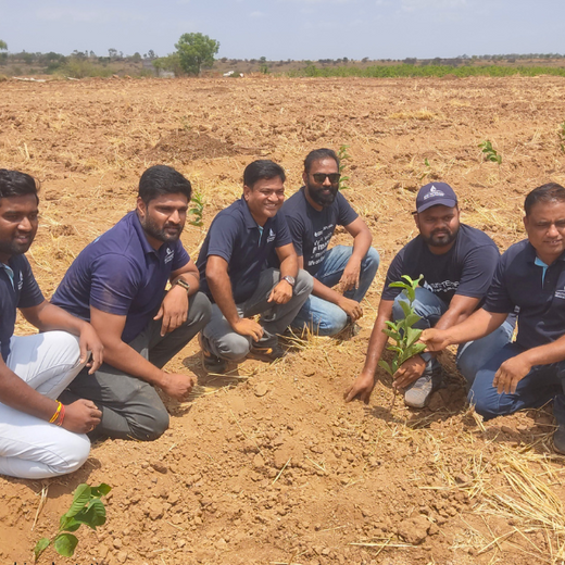 Digester to Forest: Sistema.bio’s Regenerative Agroforest Drive – 6 months