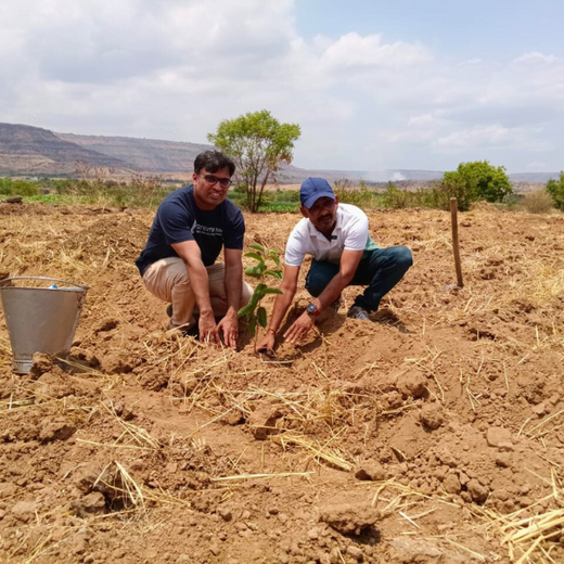 Digester to Forest: Sistema.bio’s Regenerative Agroforest Drive – 6 months