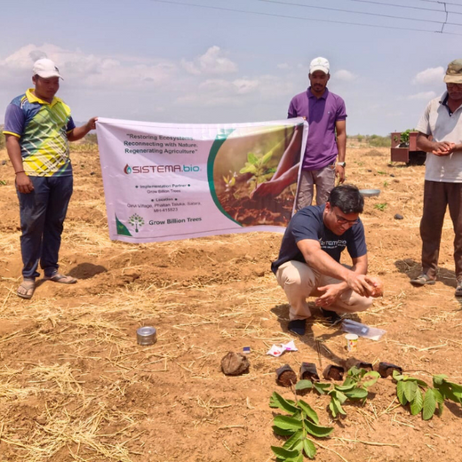 Digester to Forest: Sistema.bio’s Regenerative Agroforest Drive – 6 months