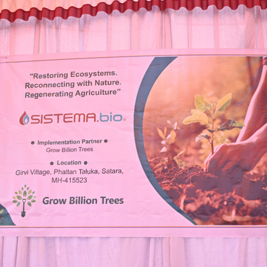 Digester to Forest: Sistema.bio’s Regenerative Agroforest Drive – 6 months