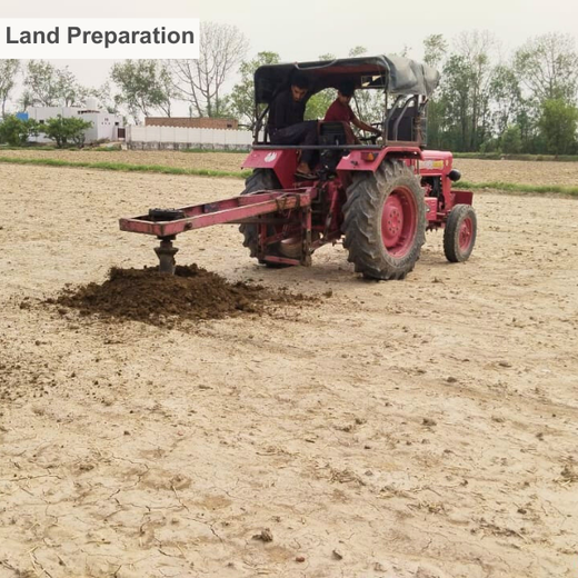 Soudal India Goes Green: Agroforestry on World Environment Day – Planting