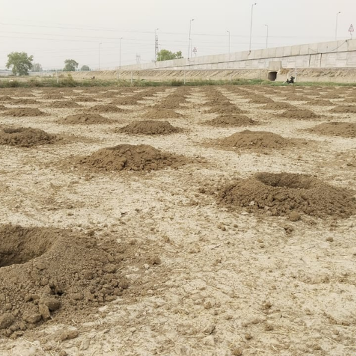 Soudal India Goes Green: Agroforestry on World Environment Day – Planting