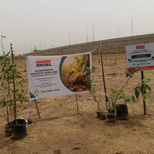 Soudal India Goes Green: Agroforestry on World Environment Day – 6 months