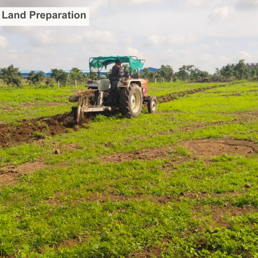 Woodlands of Tomorrow: TCI’s Urban Forest – Planting
