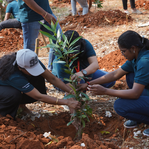 Innovation Meets Nature: Voya India’s Urban Forest for Employee Engagement – Planting
