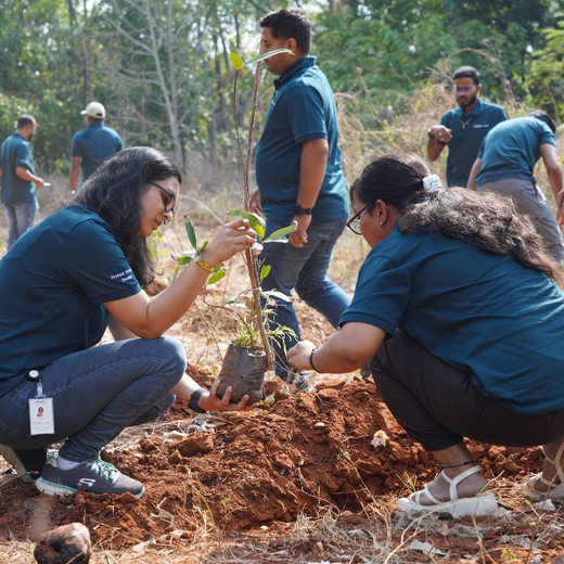 Innovation Meets Nature: Voya India’s Urban Forest for Employee Engagement – Planting