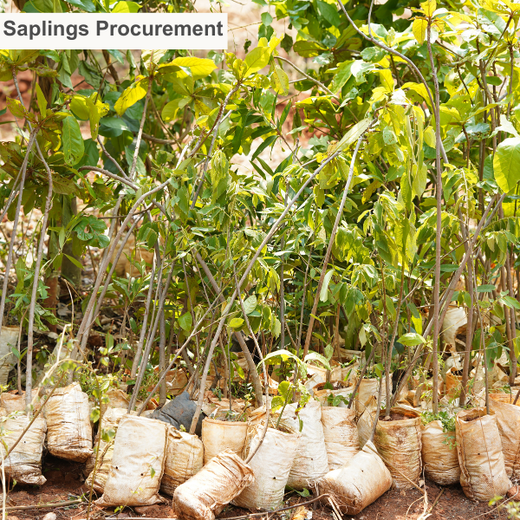 Innovation Meets Nature: Voya India’s Urban Forest for Employee Engagement – Planting