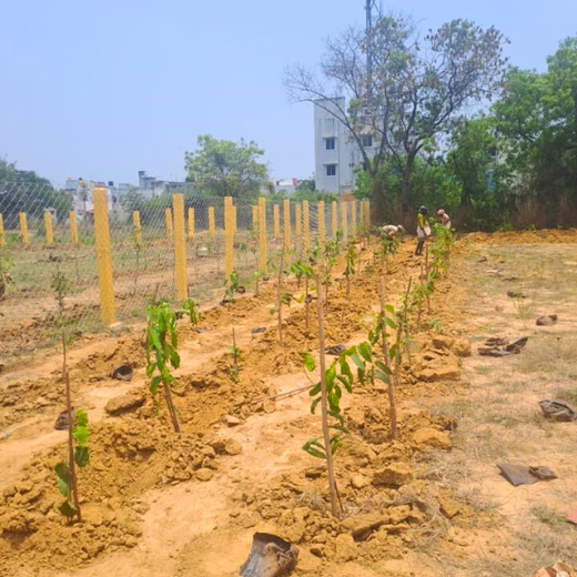 Tech Meets Trees: Zafin’s Urban Forest for ESG and Beyond – 6 months