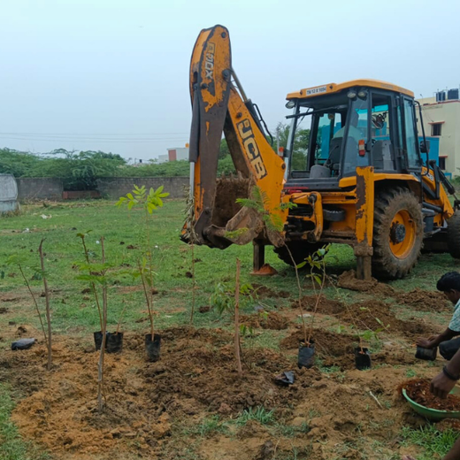 Tech Meets Trees: Zafin’s Urban Forest for ESG and Beyond – Planting