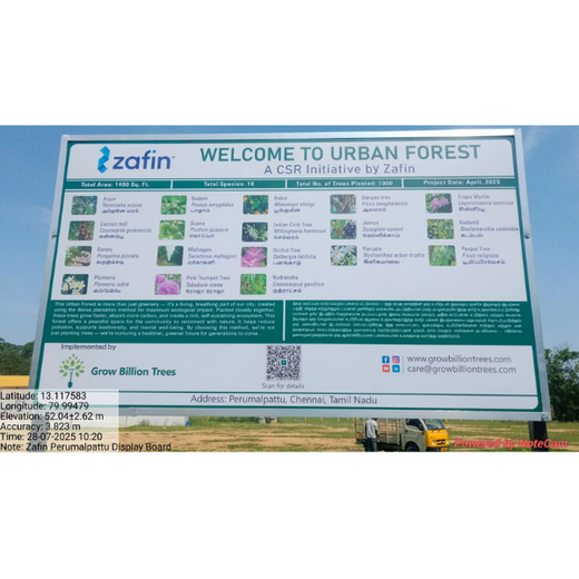 Tech Meets Trees: Zafin’s Urban Forest for ESG and Beyond – 6 months