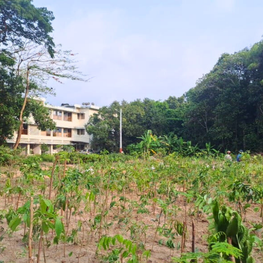 Zafin Goes Green: Cultivating ESG Values Through Urban Forestry – 6 months