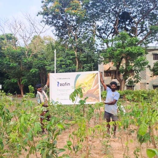 Zafin Goes Green: Cultivating ESG Values Through Urban Forestry – 6 months