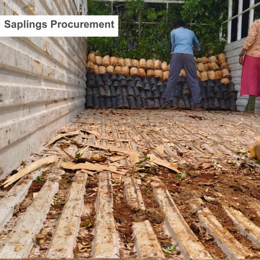 Zafin Goes Green: Cultivating ESG Values Through Urban Forestry – Planting