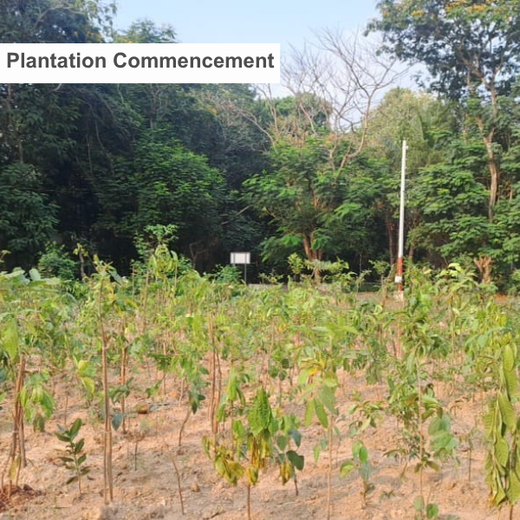 Zafin Goes Green: Cultivating ESG Values Through Urban Forestry – 6 months