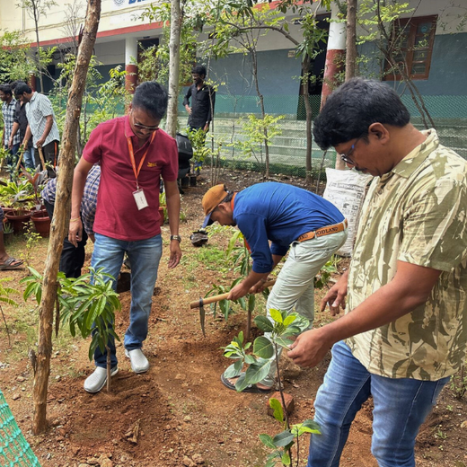 Foundation Day, Forest Way: Intense Technologies' Green Commitment – 6 months