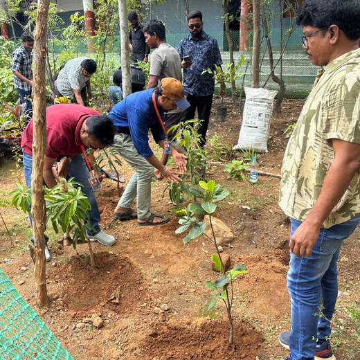 Foundation Day, Forest Way: Intense Technologies' Green Commitment – 6 months