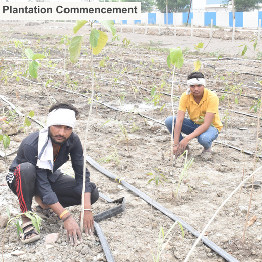 Forest by Design: Godrej Turns Industrial Space into Biodiversity Hub – 6 months